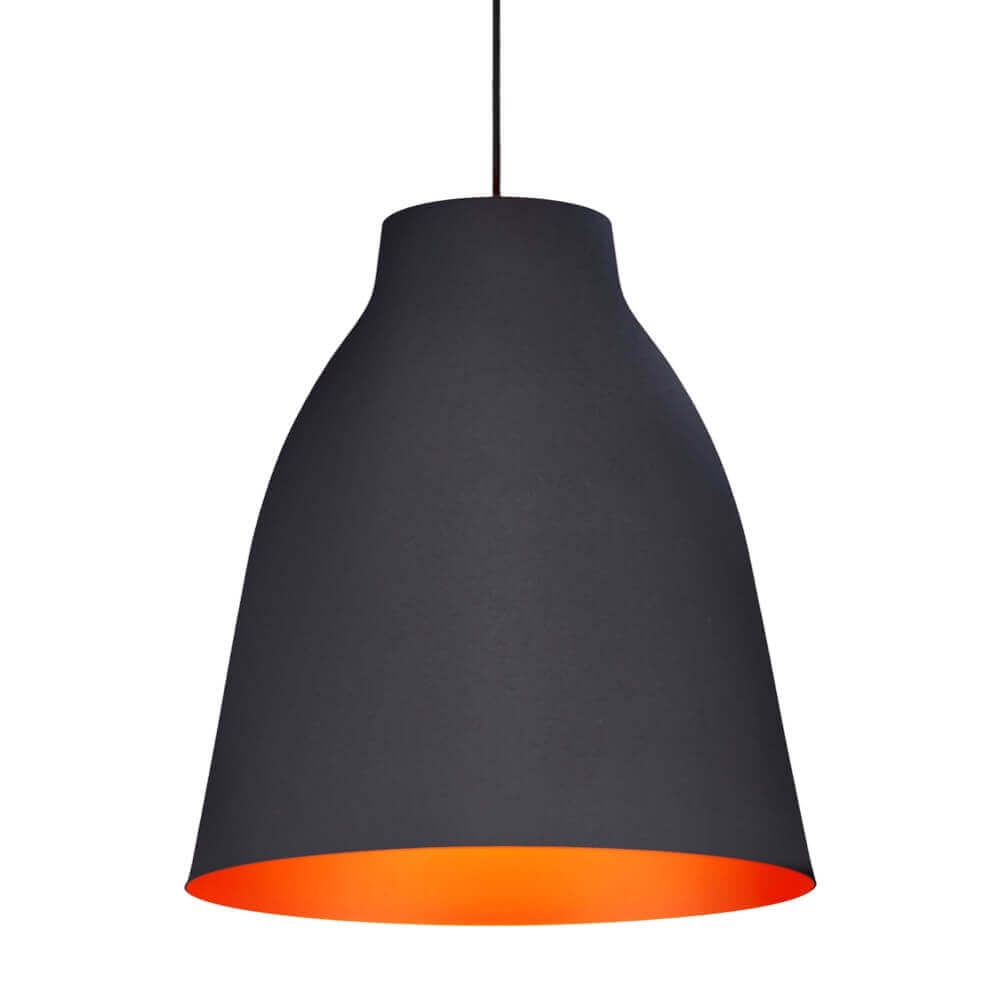 Contemporary lighting industrial pendant light